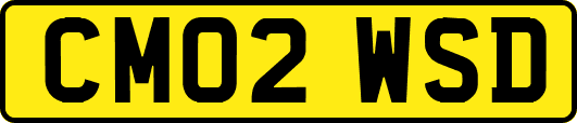 CM02WSD