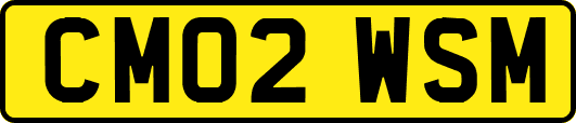 CM02WSM