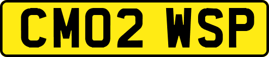 CM02WSP
