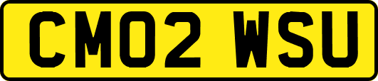 CM02WSU