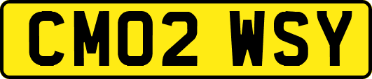 CM02WSY