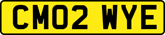 CM02WYE