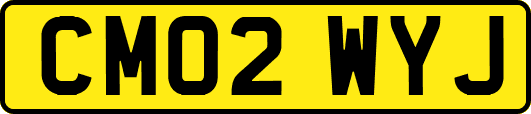 CM02WYJ