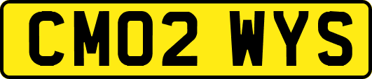CM02WYS