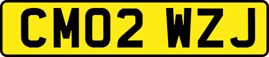 CM02WZJ