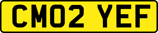 CM02YEF