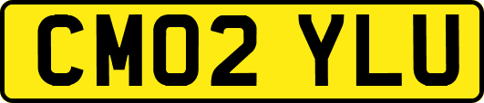 CM02YLU