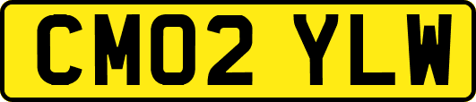 CM02YLW