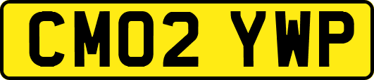 CM02YWP