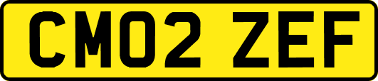 CM02ZEF