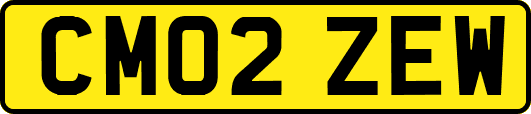 CM02ZEW