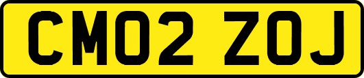 CM02ZOJ