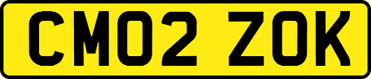CM02ZOK