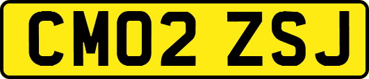 CM02ZSJ