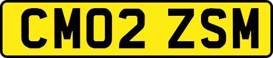 CM02ZSM
