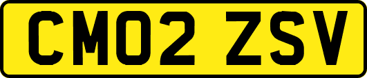 CM02ZSV