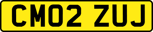 CM02ZUJ
