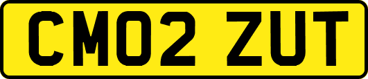 CM02ZUT