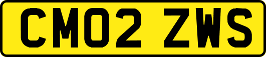 CM02ZWS