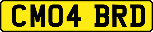 CM04BRD