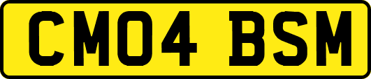 CM04BSM