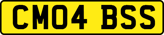 CM04BSS