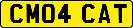 CM04CAT