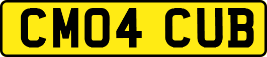 CM04CUB
