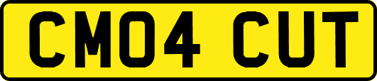 CM04CUT