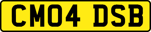 CM04DSB