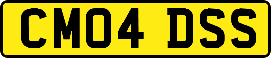 CM04DSS
