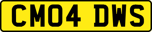CM04DWS