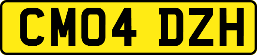 CM04DZH