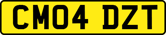 CM04DZT