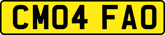 CM04FAO