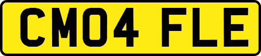 CM04FLE