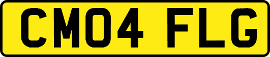CM04FLG