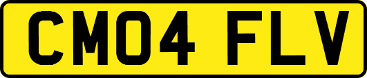 CM04FLV