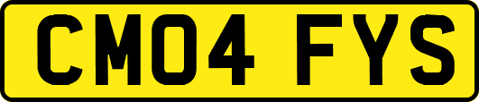 CM04FYS