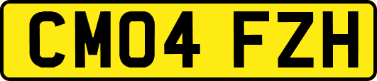 CM04FZH