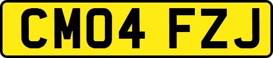 CM04FZJ