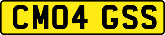 CM04GSS
