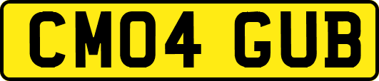 CM04GUB