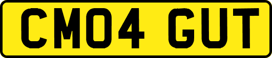 CM04GUT