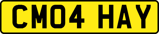 CM04HAY