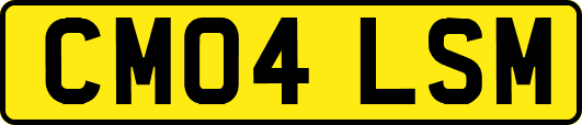 CM04LSM