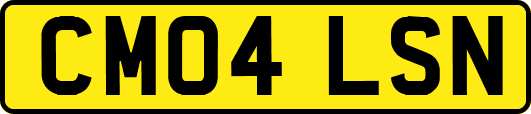 CM04LSN