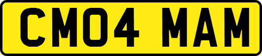 CM04MAM