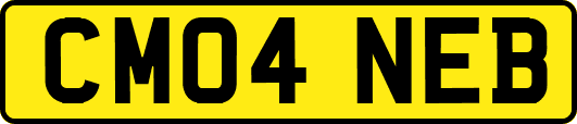 CM04NEB