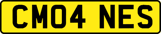 CM04NES